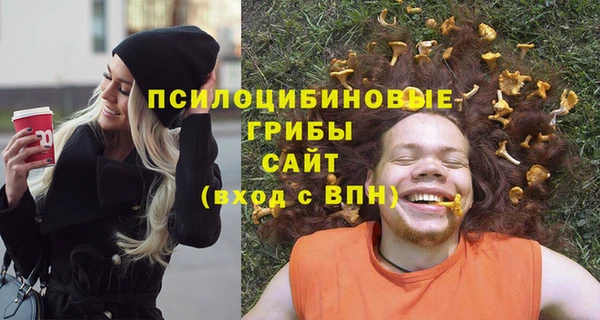 дмт Аркадак