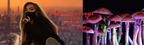 дурь Арсеньев