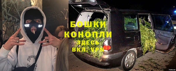 дмт Аркадак