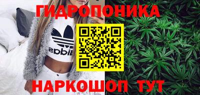 мдпв Славгород