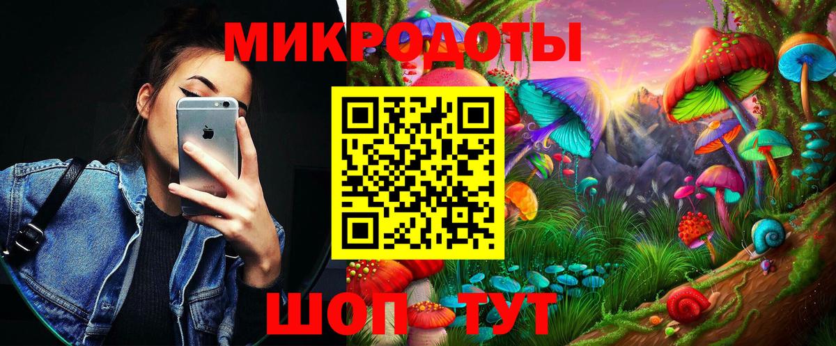 Псилоцибиновые грибы Psilocybine cubensis Унеча